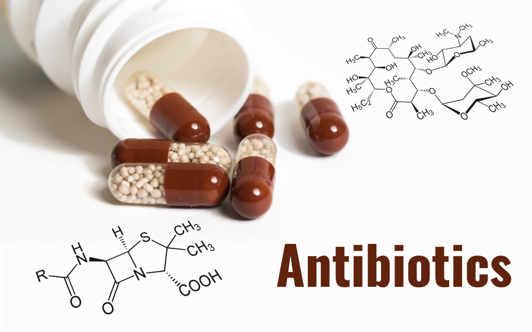 Antybiotyki