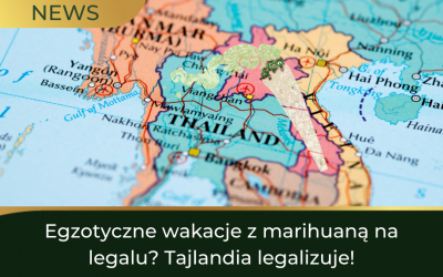 Egzotyczne wakacje z marihuaną na legalu? Tajlandia legalizuje!