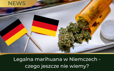 Legalna marihuana w Niemczech – czego jeszcze nie wiemy?