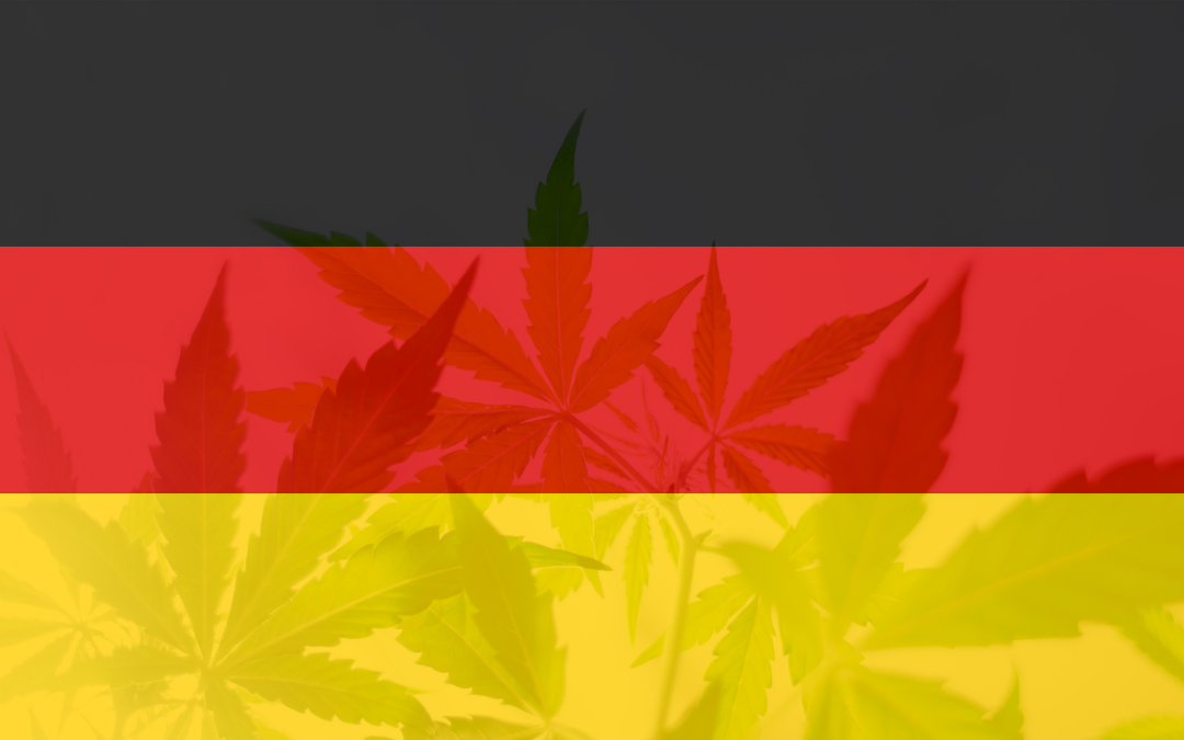 Niemiecka flaga na tle liści konopi