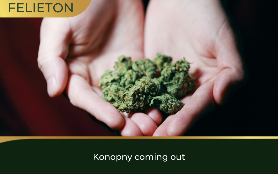 Konopny coming out