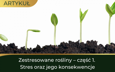 Zestresowane rośliny cz. 1: stres i jego skutki