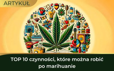 Co można robić po marihuanie? TOP 10 czynności