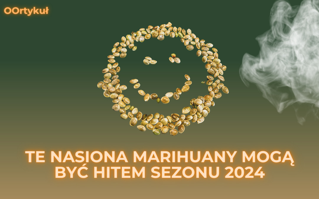 Te nasiona marihuany mogą być hitem sezonu 2024 (indoor i outdoor)
