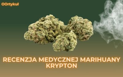 Recenzja medycznej marihuany KRYPTON