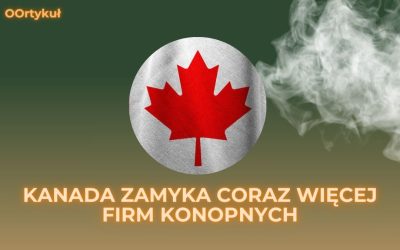 Kanada zamyka coraz więcej firm związanych z konopiami